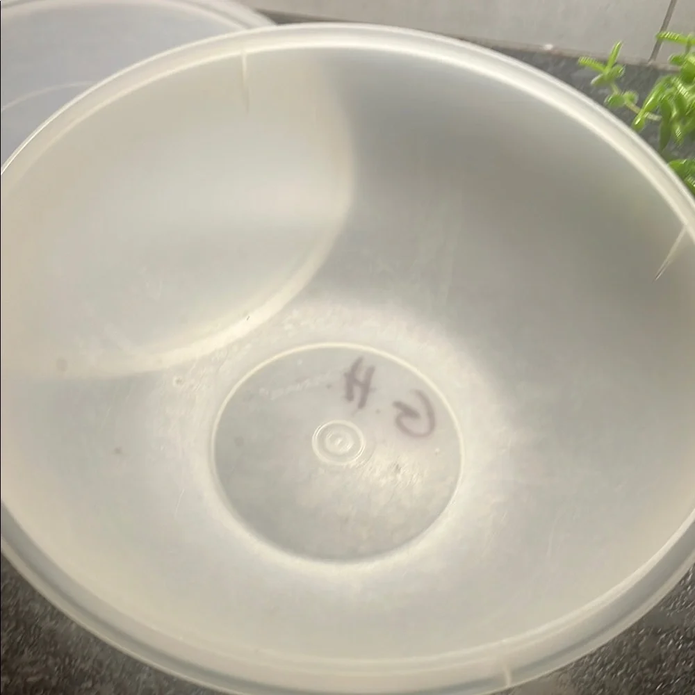 Tupperware enhance your